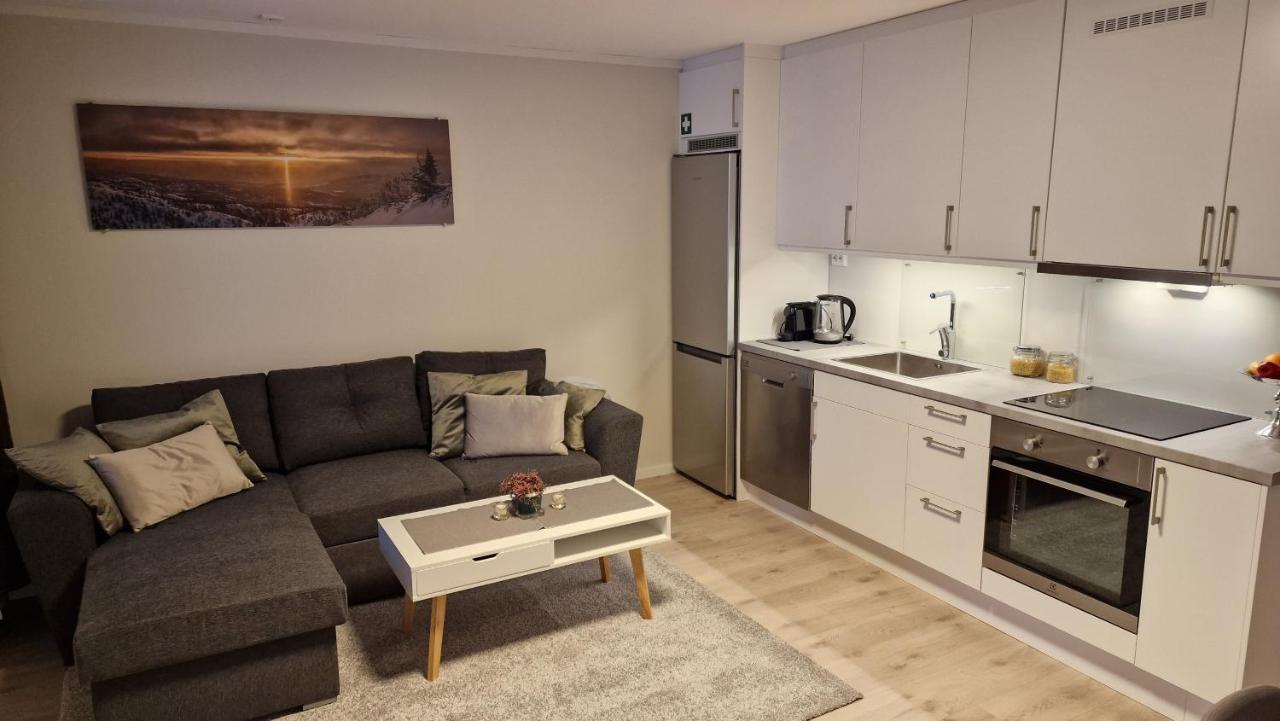 Haugetuft Apartments Amot  外观 照片